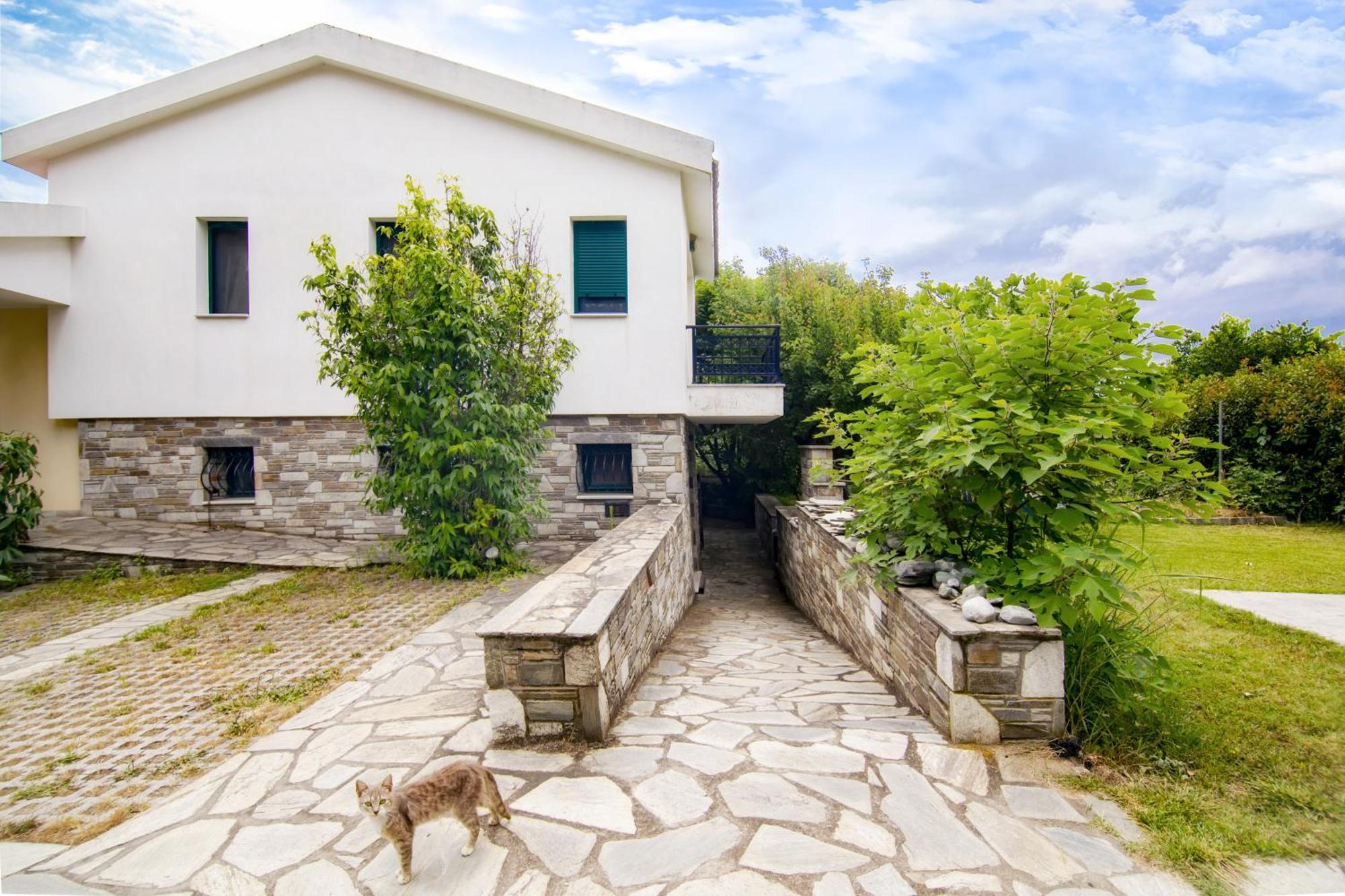 Ileana'S House Apartment โวโลส ภายนอก รูปภาพ